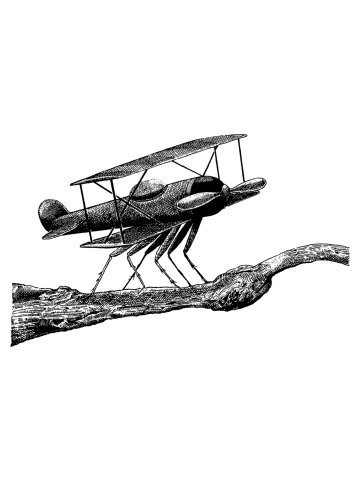 Fly Plane