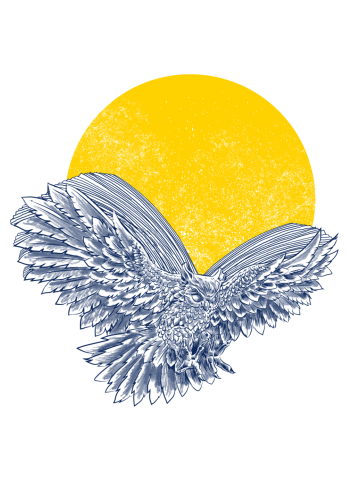 Flying Book