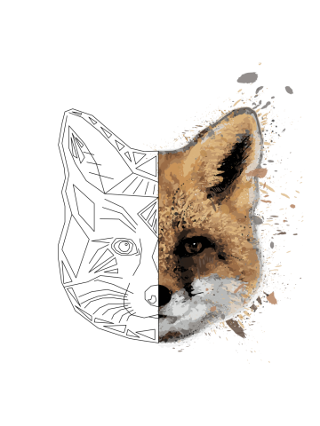 Fox (Contrast)