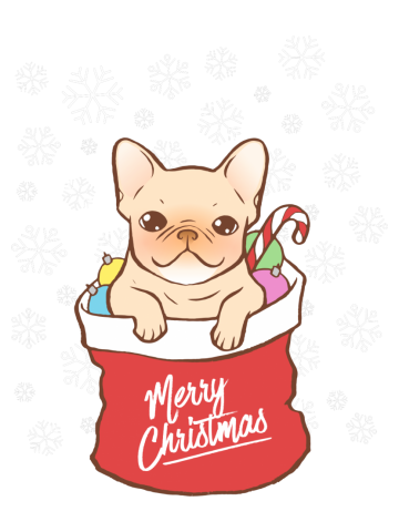 Frenchie comes with Santa Claus
