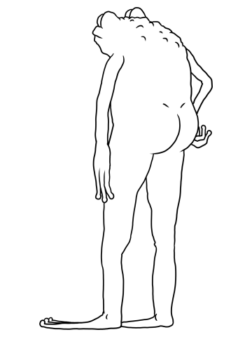 Frog Booty