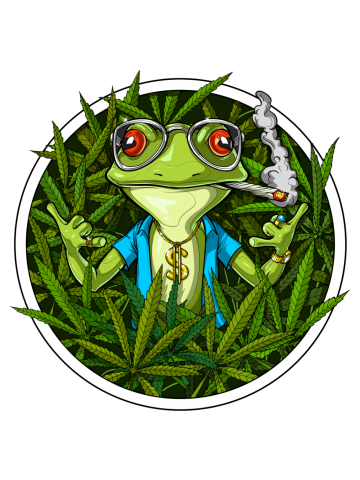 Frog Stoner Smoking Weed