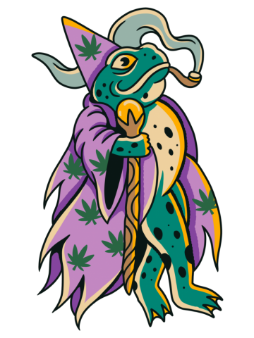 Frog Wizard