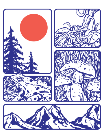 Frog, mushrooms, and nature