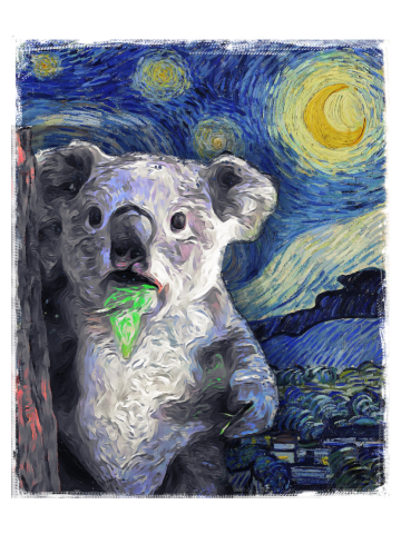 Funny Koala Van Gogh Starry Koala Meme Painting