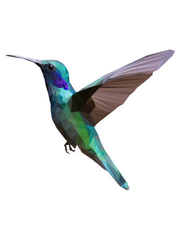Geometric  humming-bird