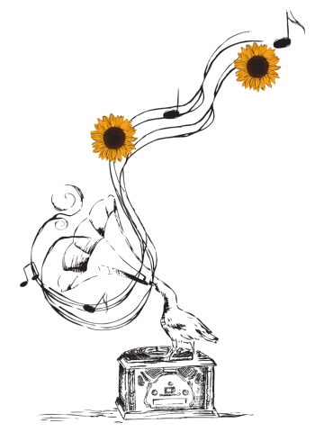 Girassol sem Sol