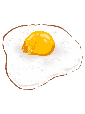 Go fry an egg !
