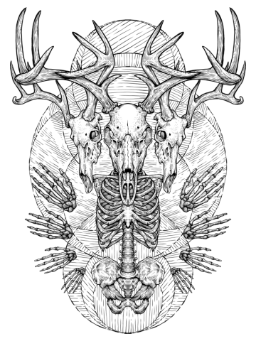 Golden horns (w)
