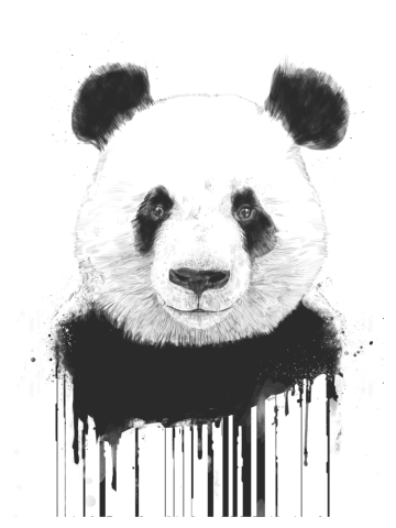 Graffiti panda