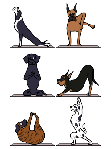 Great Dane Yoga