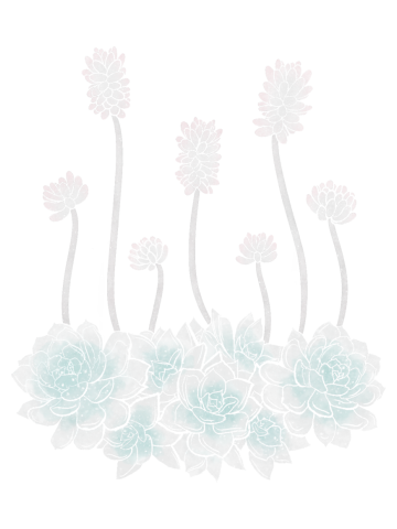 Growing Succulents