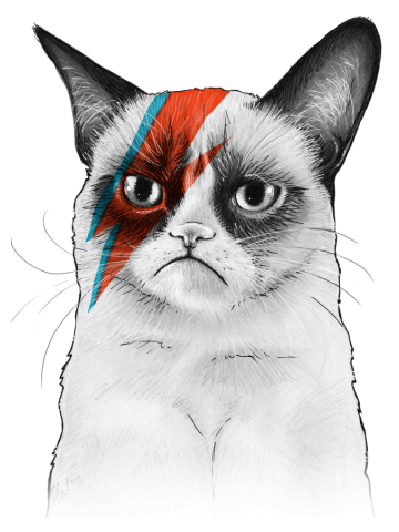 Grumpy Bowie