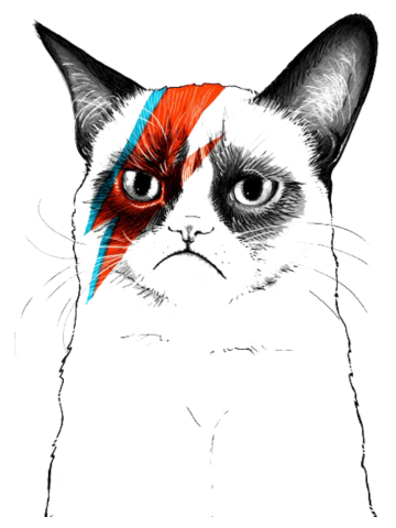 Grumpy Cat Musician Artist