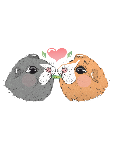 Guinea pig