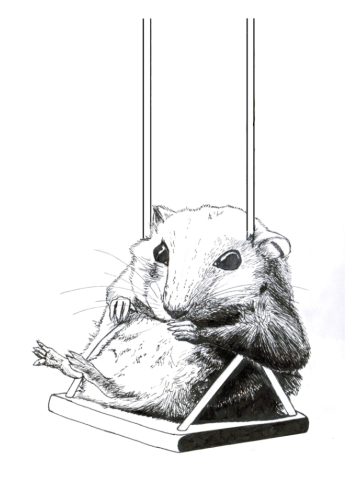 Hamster Swing