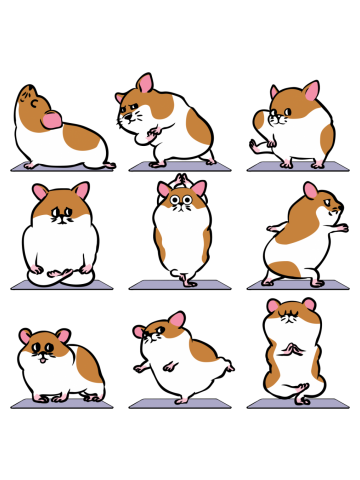 Hamster Yoga