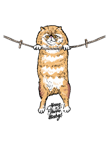 Hang in There Baby Persian Cat
