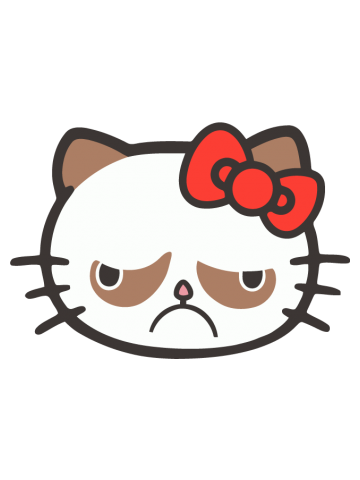 Hello Grumpy Kitty