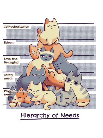 Hierarchy of Needs // Cats, Psychology, Maslow Pyramid
