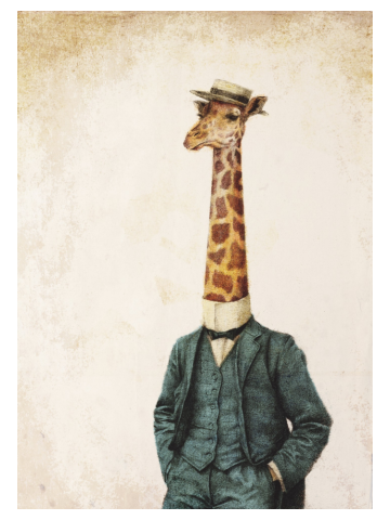 High Class Gentleman