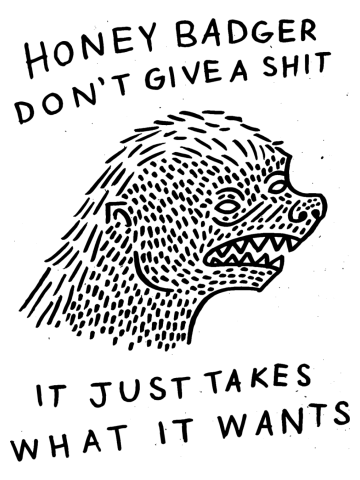 Honey Badger Don't Give a Shit
