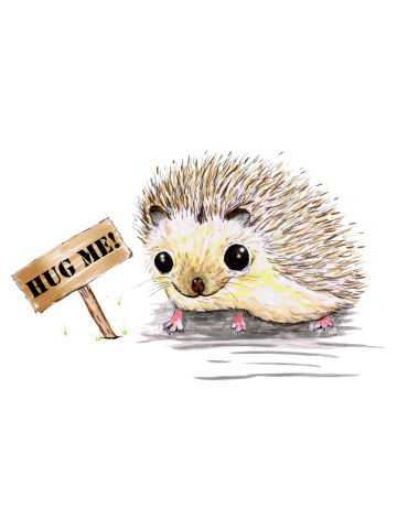 Hughog a hedgehog who wants a hug!