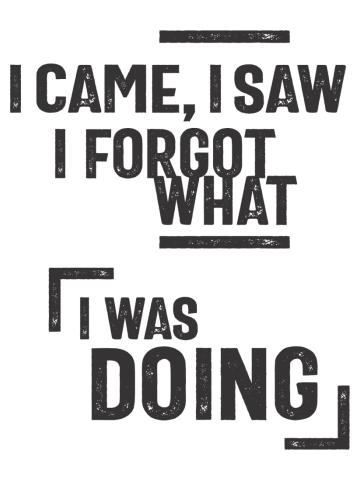 I Came, I Saw I Forgot What I Was Doing