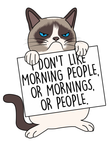 I don't like morning people, or mornings, or people