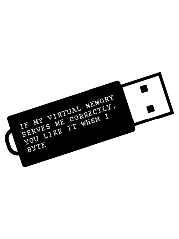 If My Virtual Memory Serves Me Correctly, You Like It When I Byte 