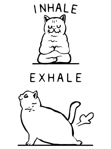Inhale Exhale British Shorthair