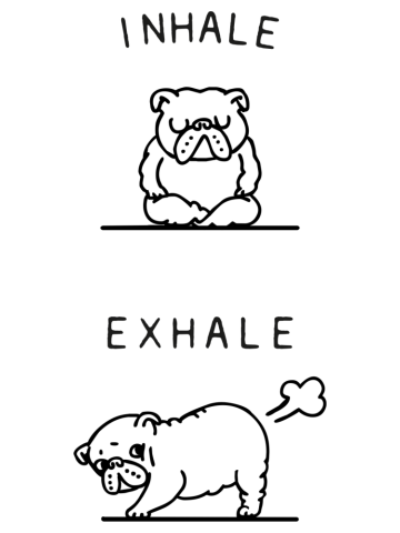 Inhale Exhale English bulldog