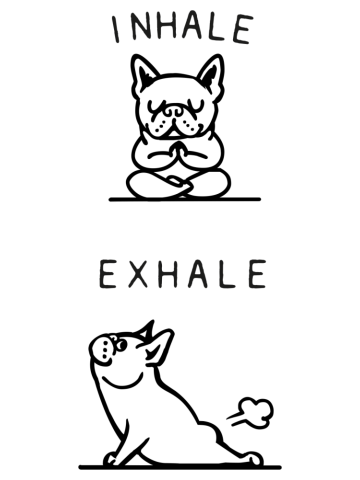 Inhale Exhale Frenchie