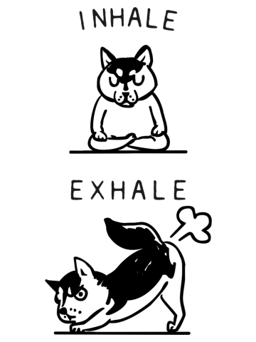 Inhale Exhale Husky