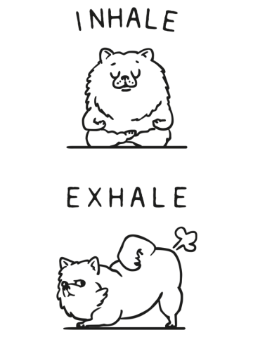 Inhale Exhale Pomeranian