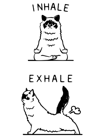 Inhale Exhale Ragdoll