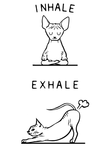 Inhale Exhale Sphynx