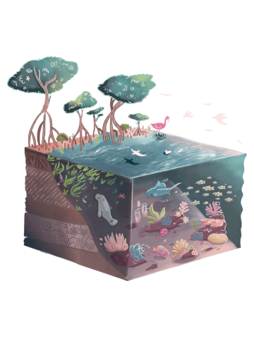 Isometric Coral Reef and Mangrove Ecosystem