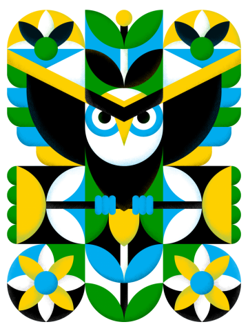 It's A Hoot