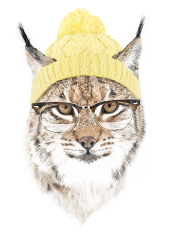 It's pretty cold outside again