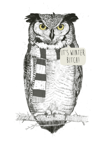 It's winter bitch