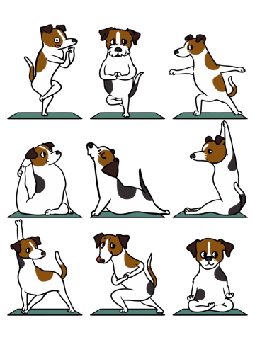 Jack Russell Terrier Yoga