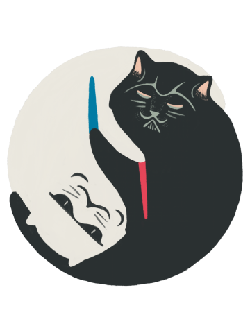Kitty 4 bright and dark side catwars