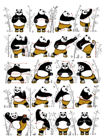 Kung Fu for Dummies