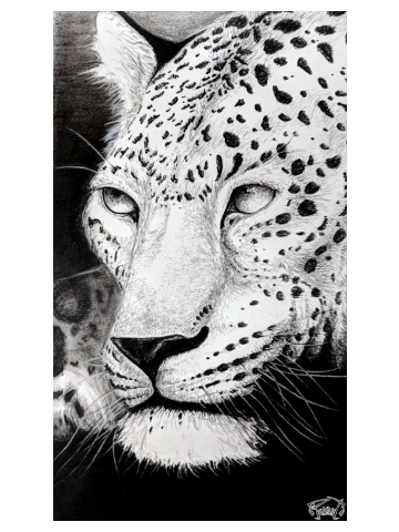 LEOPARD | 1 of 5 | BIG-5 Series - Charcoal Print