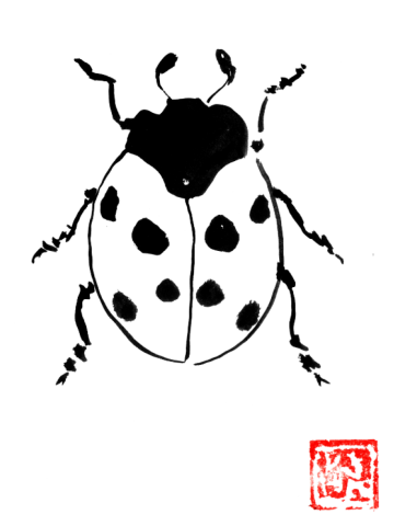 Ladybug