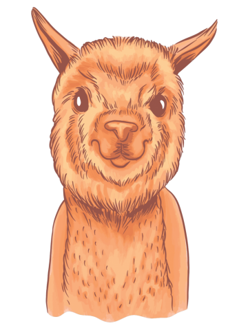 Lama Drawing