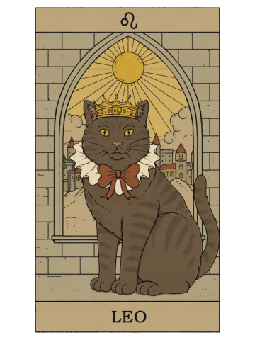 Leo Cat
