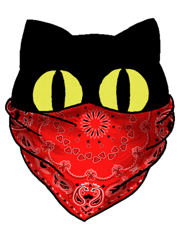 Lil' Bandit