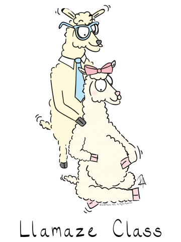 Llamaze Class - Llamas at Lamaze
